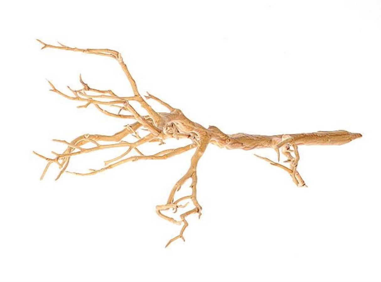Hbx natierlech liewend kënschtlech Branche Stomp Plastik