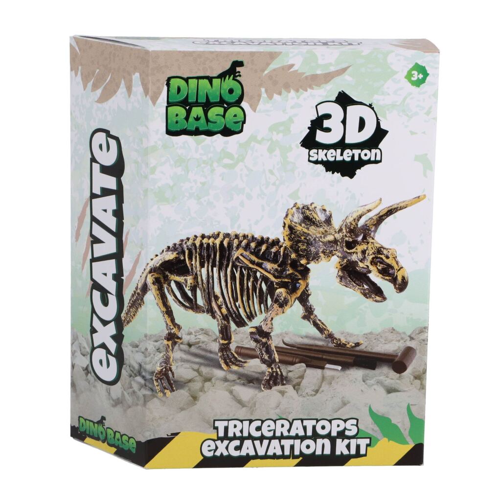 Dinobase Dino 3D Triceratops Skelett