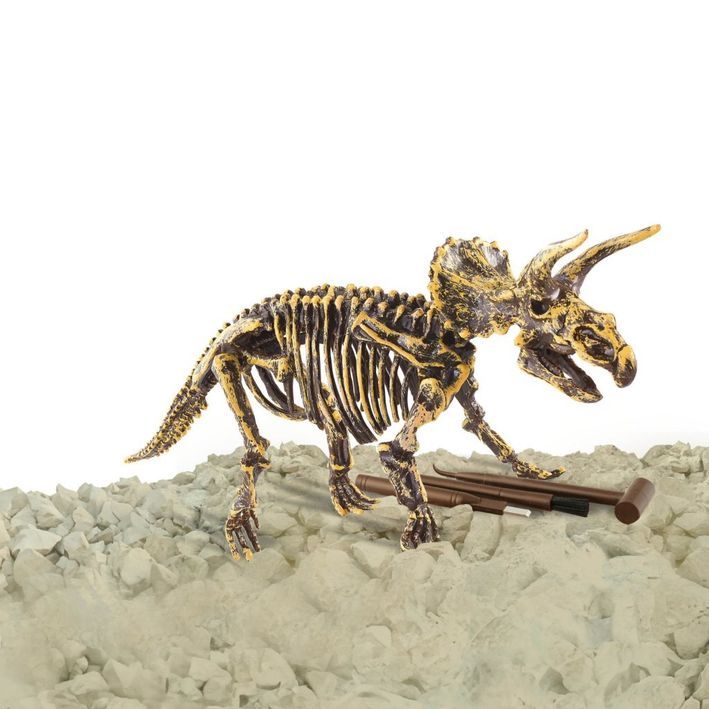 Dinobase Dino 3D triceratops skeleton