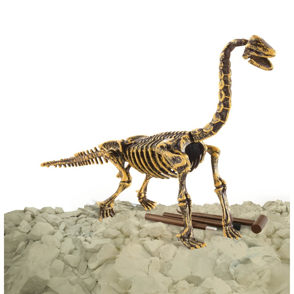 Dinobase Dino 3D Brachiosaurus skelett