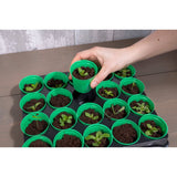 Kinzo Growing pots with tray 20 jars