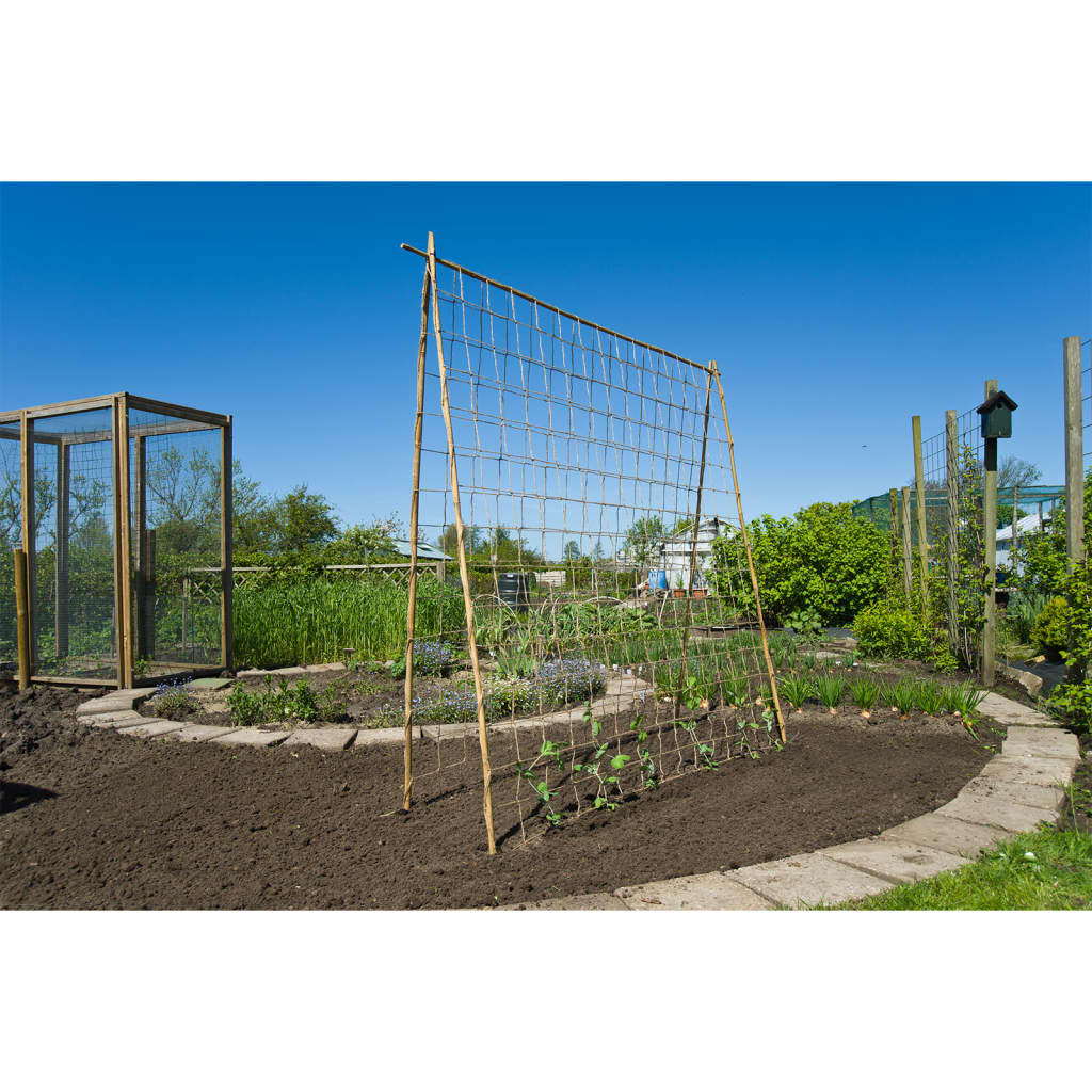 Natur Natur Klimet fir Planzen 1.8x5 m Naturl