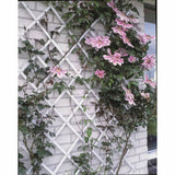 Nature Nature Garden Slat Travail 100x200 cm PVC blanc 6040703