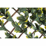 Nature Nature Latwerk med Californien Liguster Green og Yellow Tade 90x180 cm