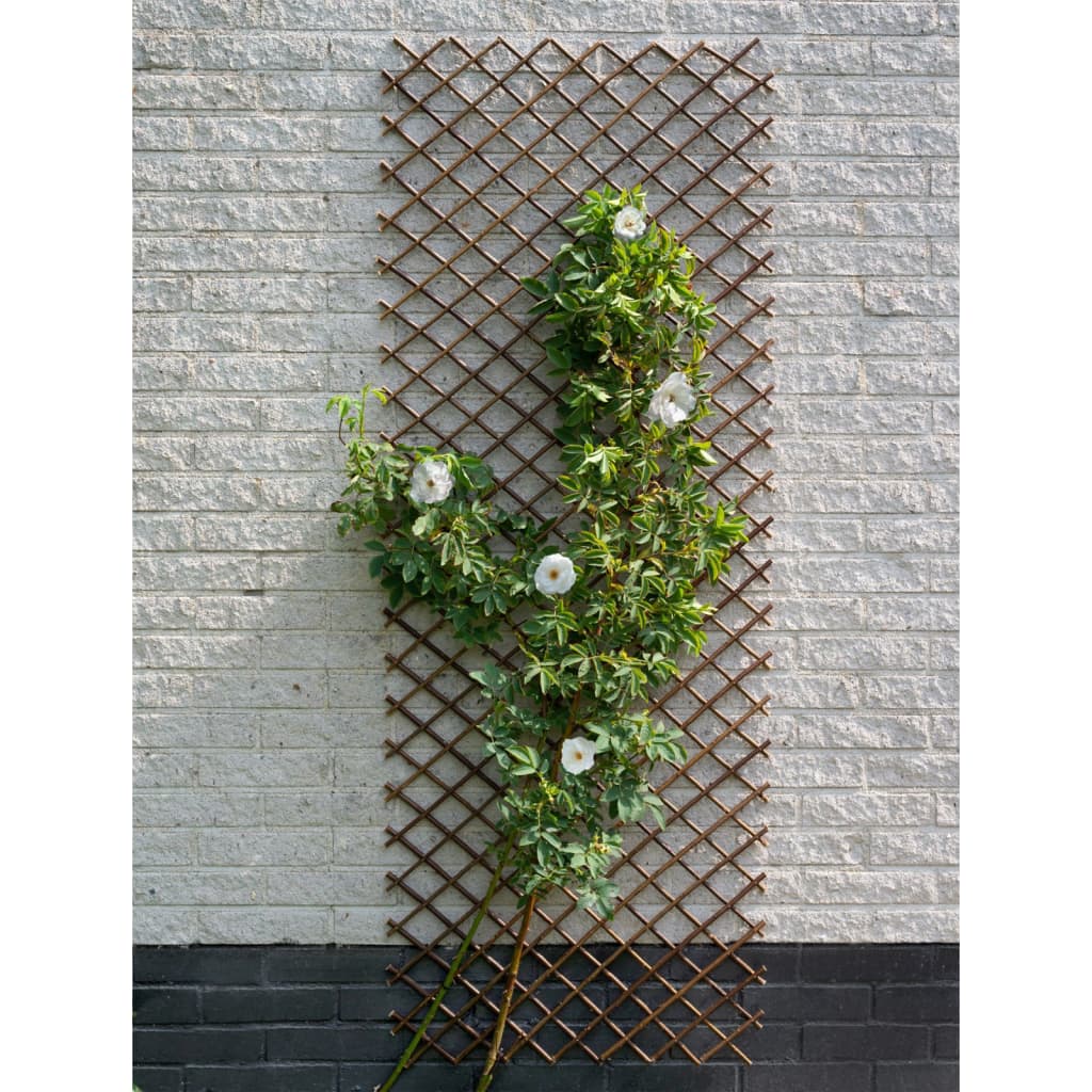 Nature Nature Latwerk 60x180 cm Natural Willows Brown