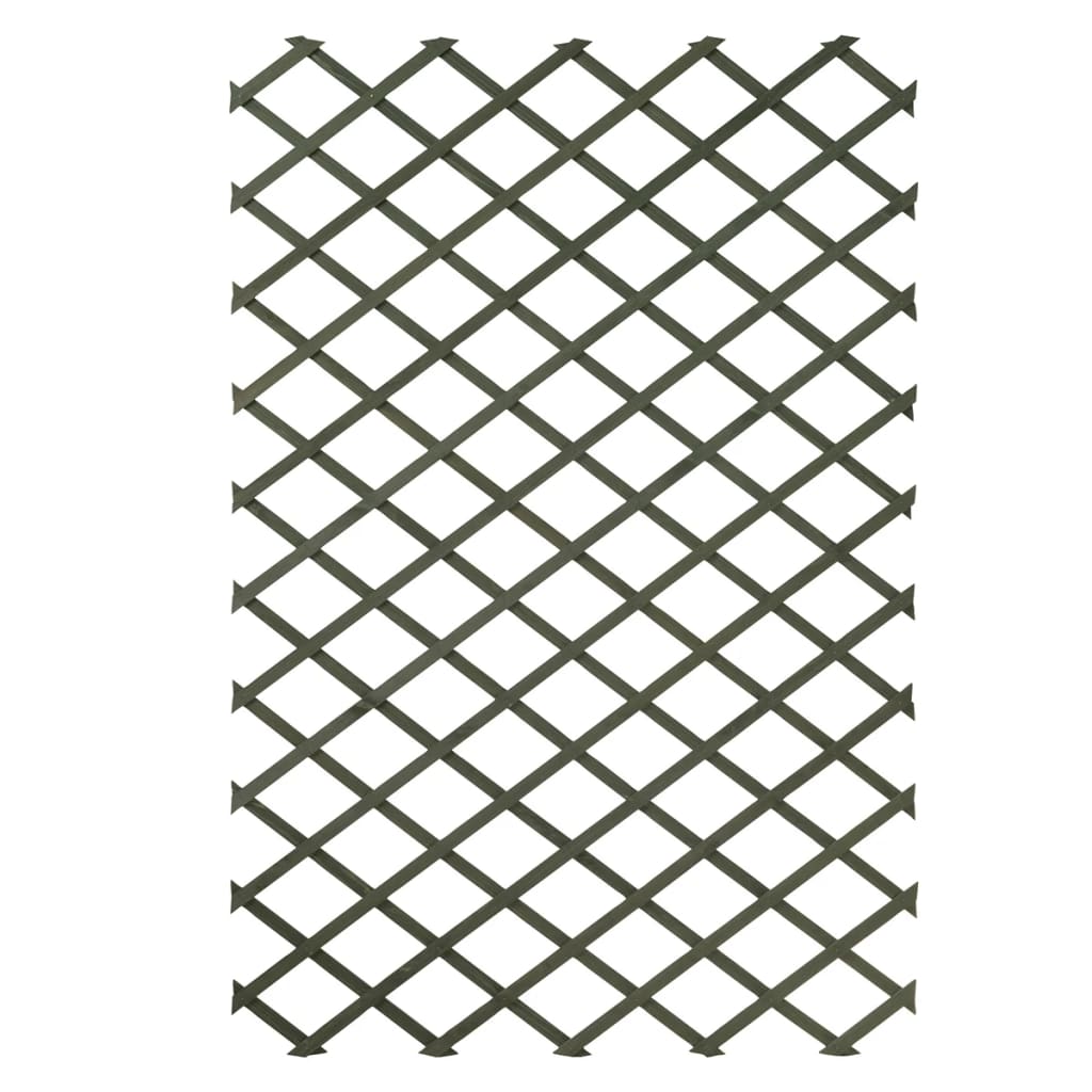 Nature Nature Plance Rack di arrampicata 100x200 cm Verde in legno 6041704