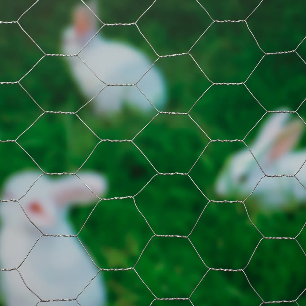 Naturaleza de la naturaleza hexagonal 1x10 m 40 mm acero galvanizado