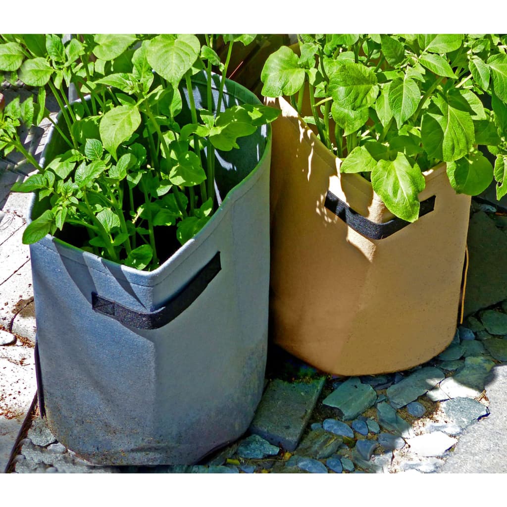 Nature Nature Potato Culture Pocket 37 L antracyt -