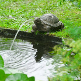 Ubbink Ubbink Spray Figur Schildkröt