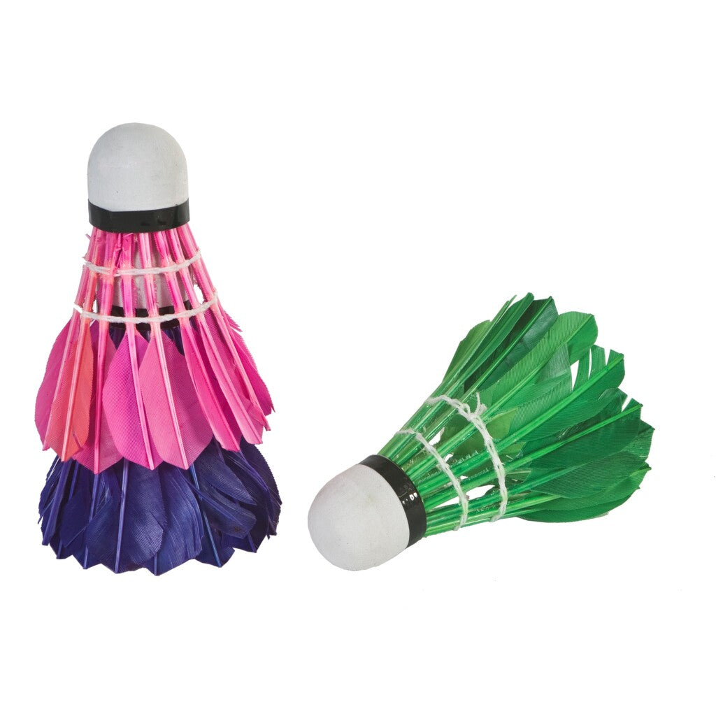 Sportx Feather Navettes dans le tube 3 pièces Verre Purple Green