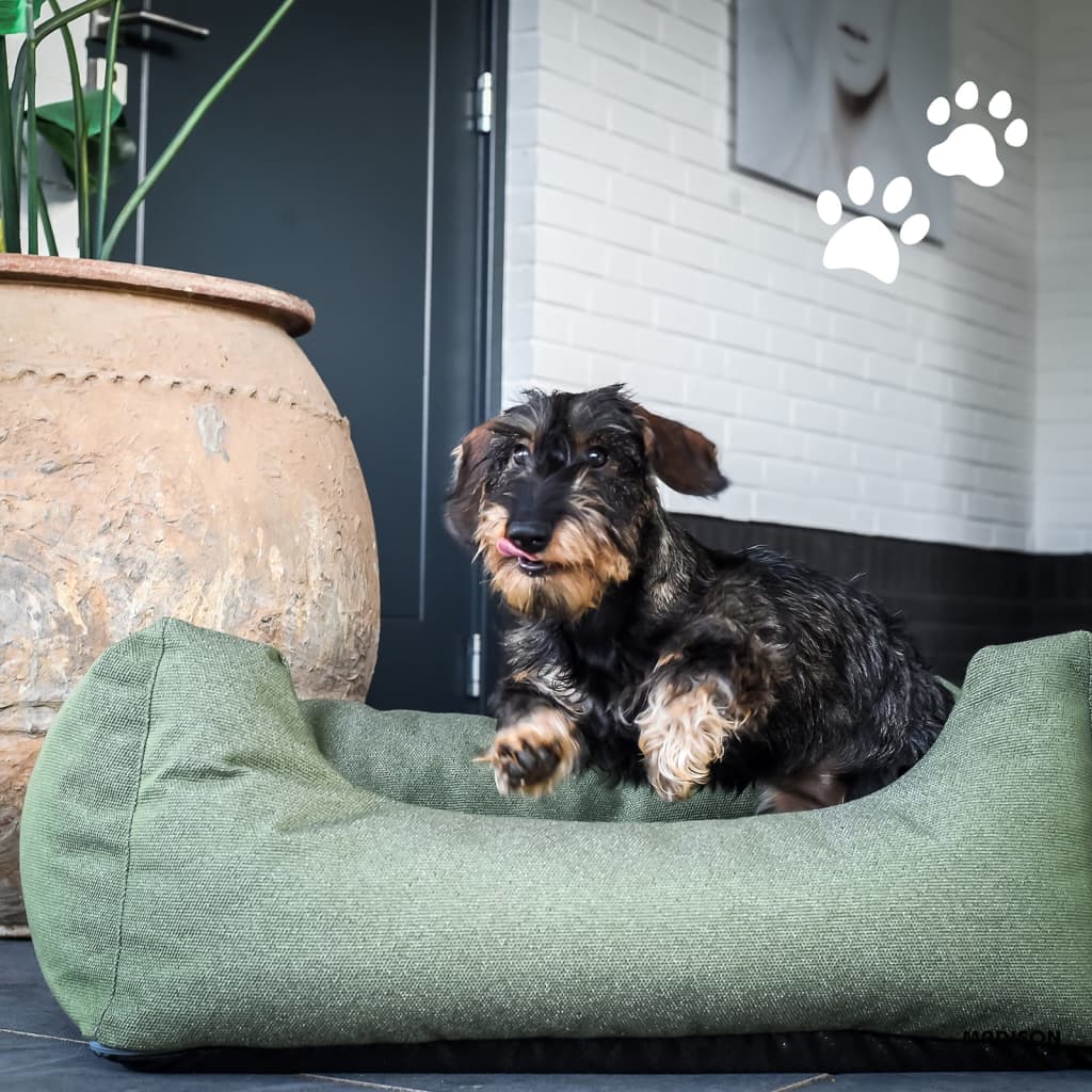 Madison Dog Bed pour à l'extérieur de Manchester 120x95x28 cm taupe