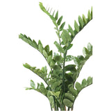 Emerald Emerald Art Plant Zamioculcas Green 110 cm 11,662c