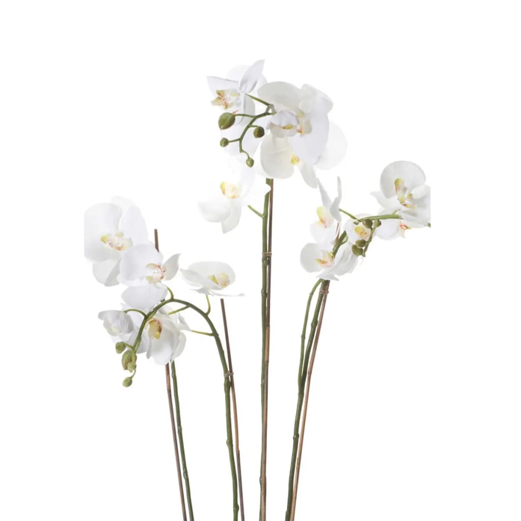 Emerald Emerald Art Plant Orchid med Moss White 90 cm 20.355