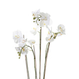 Emerald Emerald Art Plant Orchid med Moss White 90 cm 20.355