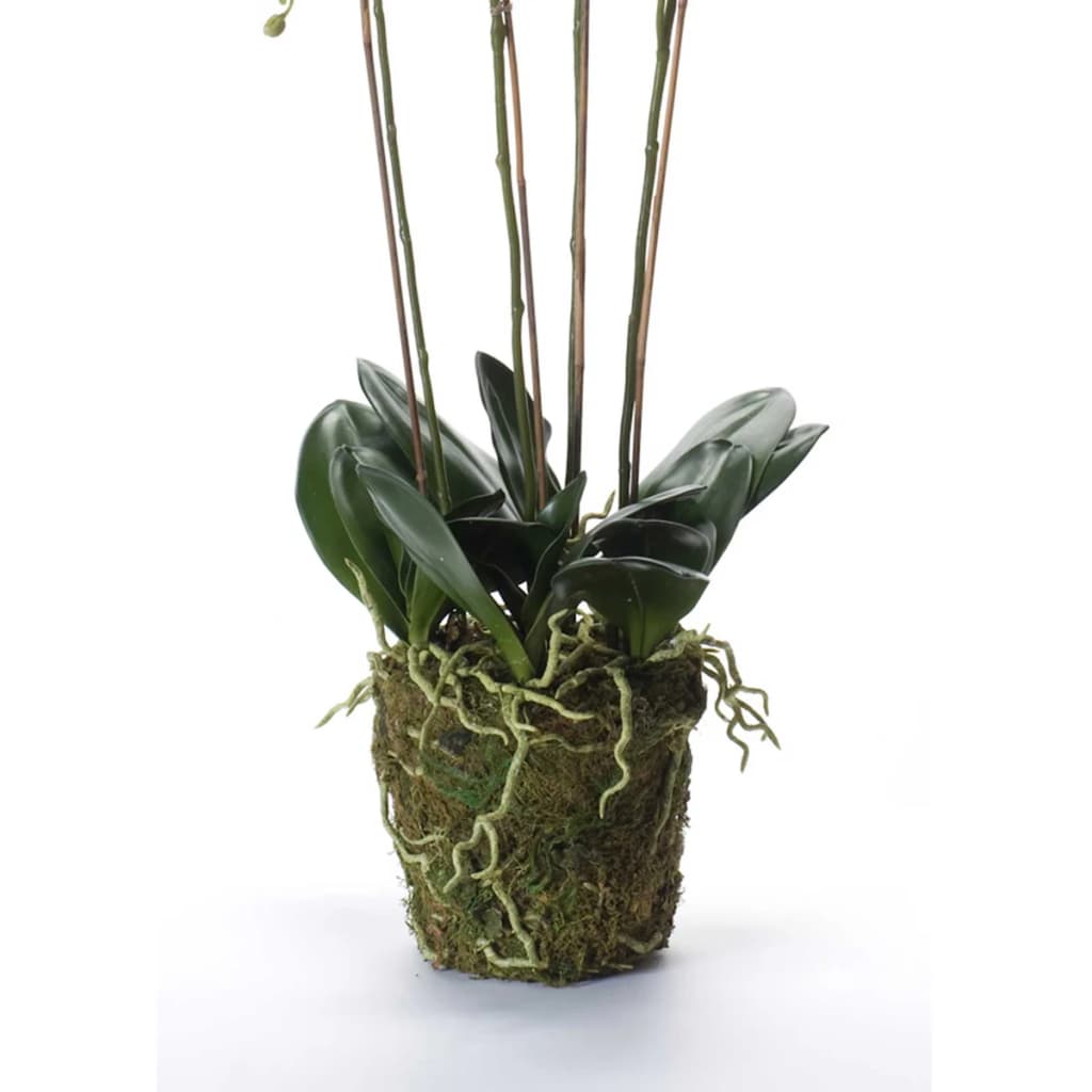 Emerald Emerald Art Plant Orchid med Moss White 90 cm 20.355