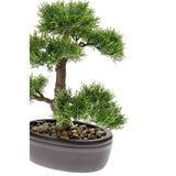 Emerald Emerald Art Plant Ceder Bonsai Green 32 cm 420001