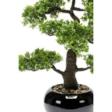 Smaragd Emerald Art Plant Mini Bonsai Ficus Green 47 cm 420006