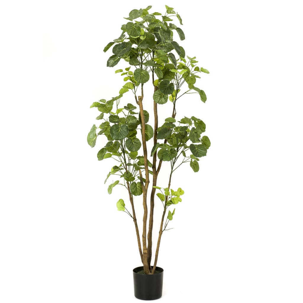 Szmaragdowy szmaragd Kunstboom w Pot Aralia 160 cm