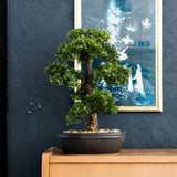 Emerald Smaragdkunstpflanze in braunem Topf Ficus Minibonsai 43 cm