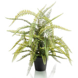 Emerald Emerald Art Plant in Plastic Pot Boston Fern 70 cm