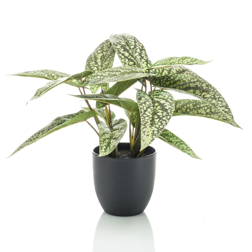 Emerald Emerald Art Plant i potteprikker Calthea 38 cm