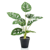 Emerald Emerald Art Plant in Pot Monkey Montera Struik 43 cm