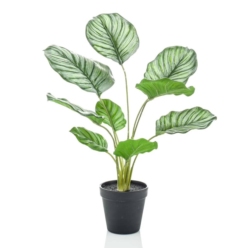 Emerald Smaragdkunstwerk in Topf Calathea Orbifolia 45 cm