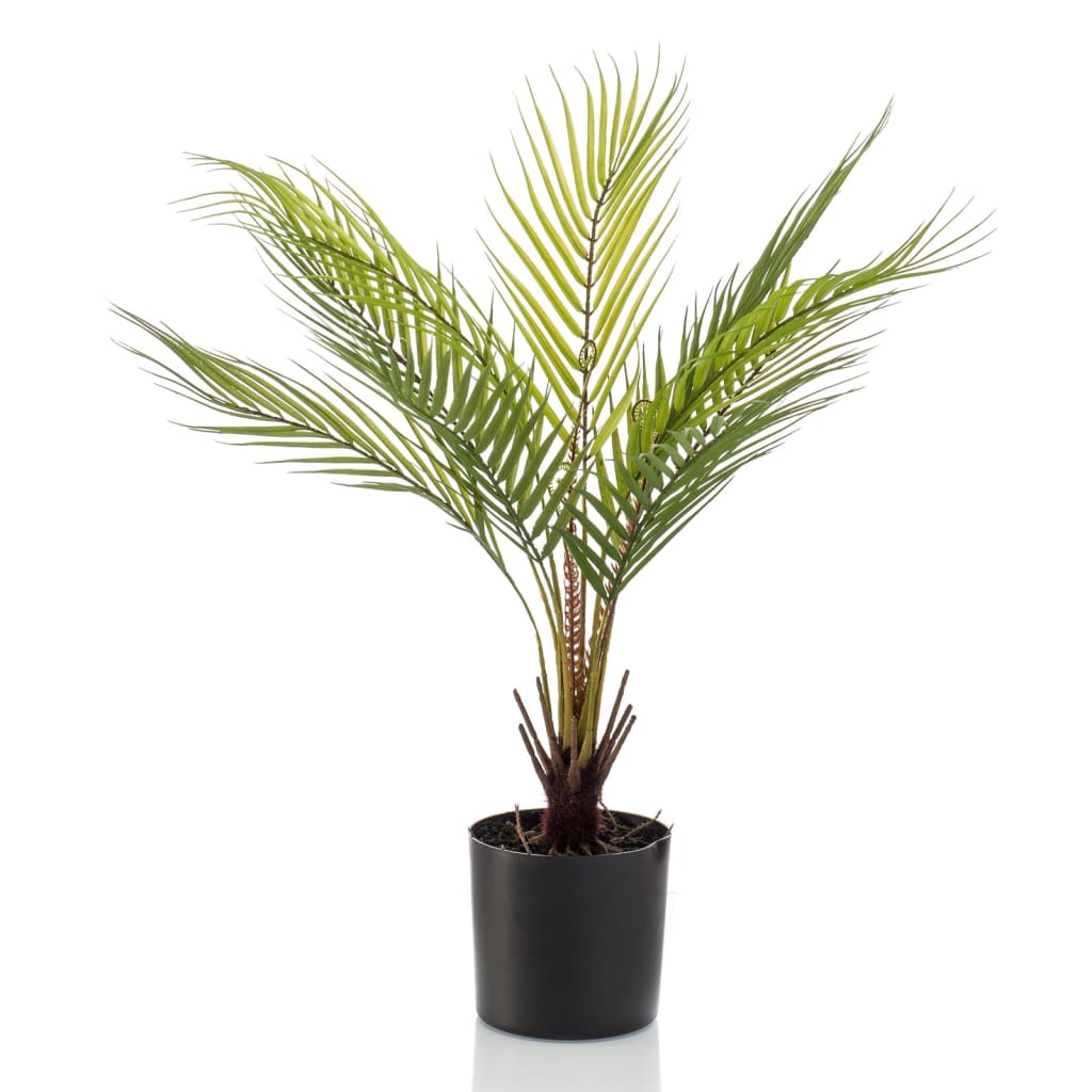 Szmaragdowa szmaragdowa roślina sztuki w garnku Chamaedorea Palm 50 cm