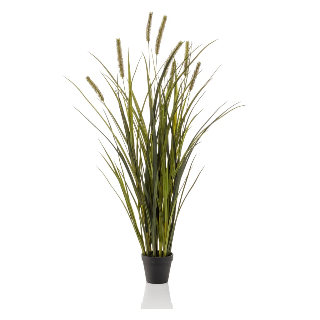 Emoragd Smaragd Art Planz am Pot Kaz Schwanz Grass 100 cm