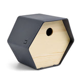 Capi Capi Vogelhuisje Hive 1 rond gat 19x23x20 cm antracietkleurig