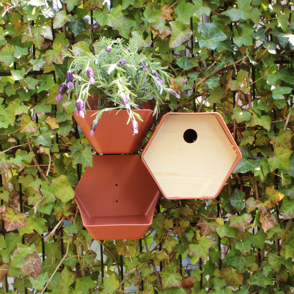 Capi Capi Vogelhuisje Hive 1 rond gat 19x23x20 cm bruin