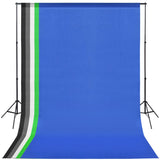 Vidaxl Photo Studio Conjunto con 5 fondos de color 2 softboxes