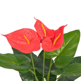 Vidaxl Art Anthurium Plant z garnkiem 45 cm czerwony i żółty