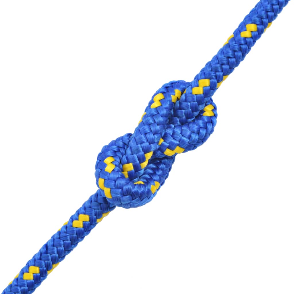 VIDAXL -Kofferchen -Seil 10 mm 50 m Polypropylenblau