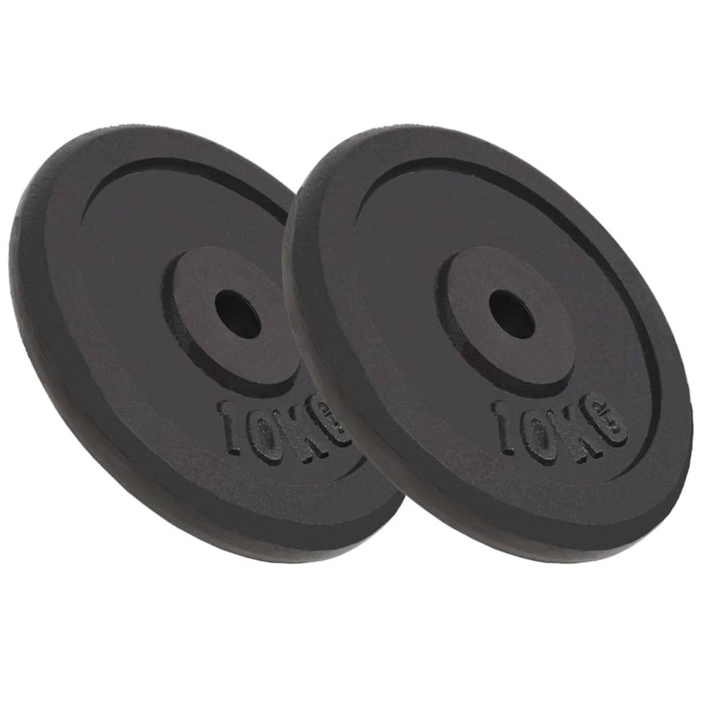 Vidaxl Halter discs 2 PCs 2x10 kg Goss