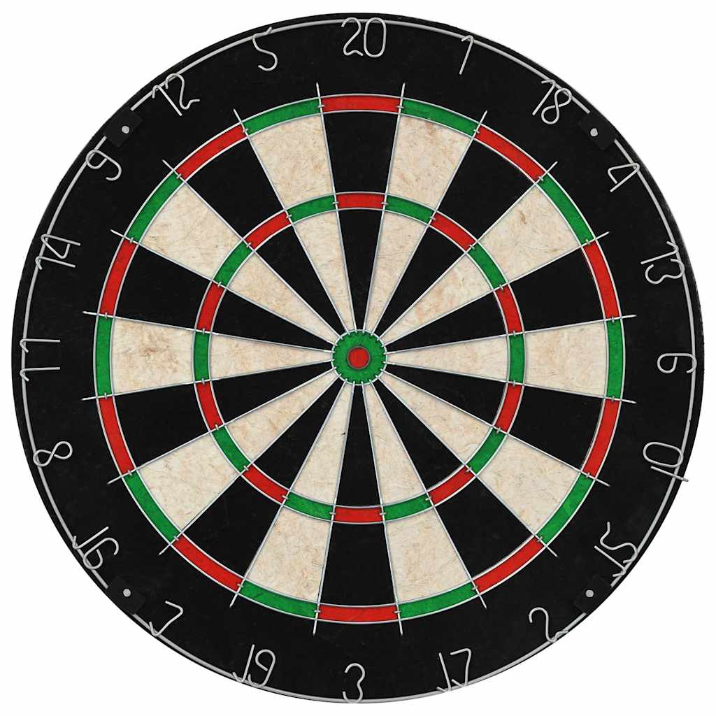 Vidaxl dartboard profesjonell med skap og 6 dart sisal