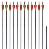 Vidaxl arrows for recurvebog standard 30 0.76 cm carbon 12 pieces