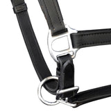 Vidaxl Halster Regolable Pony Real Leather Black