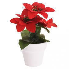 Autres marques Plant de Noël Céramique Rouge Pot