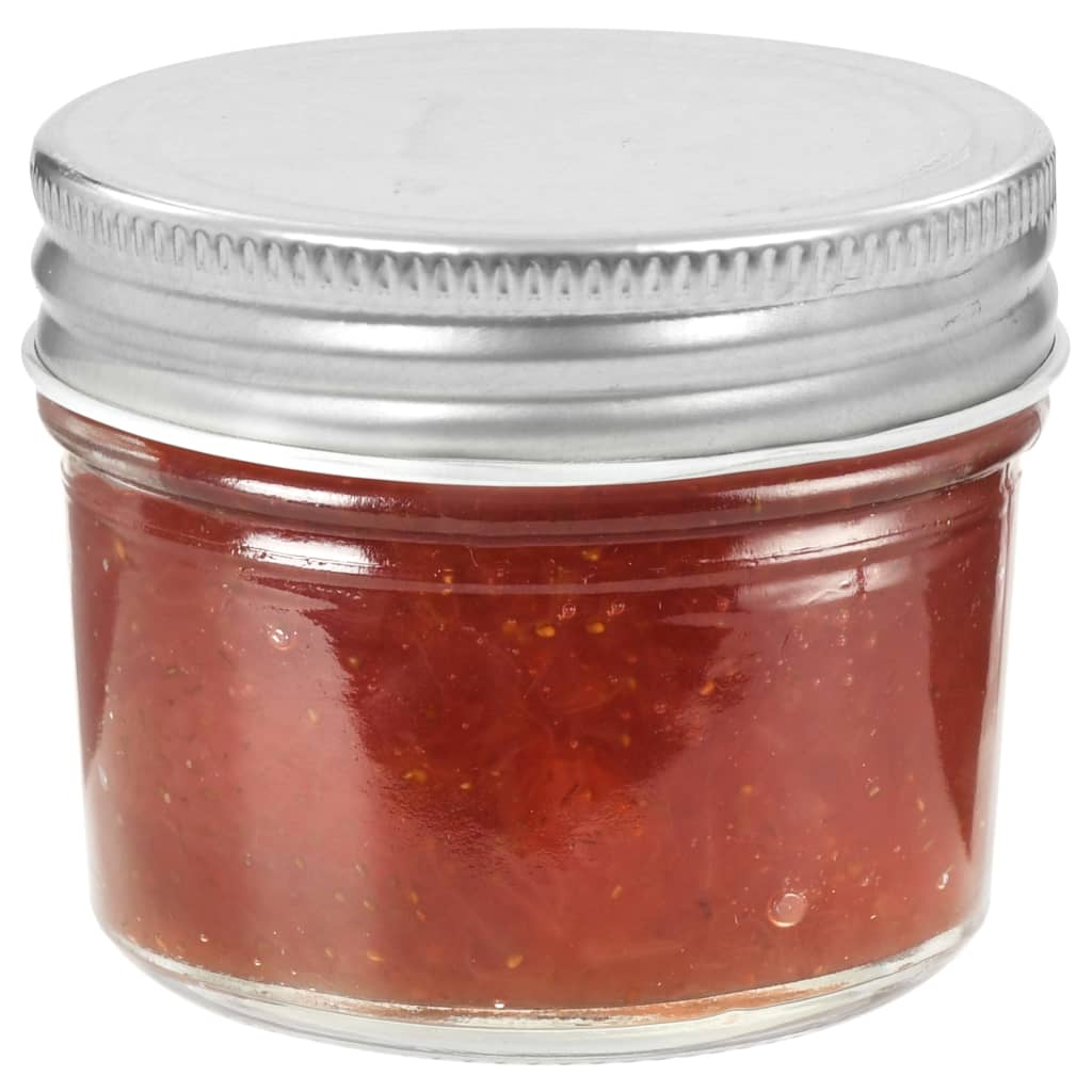 Vidaxl Jam Jars se stříbrnými barevnými víky 24 st 110 ml sklo