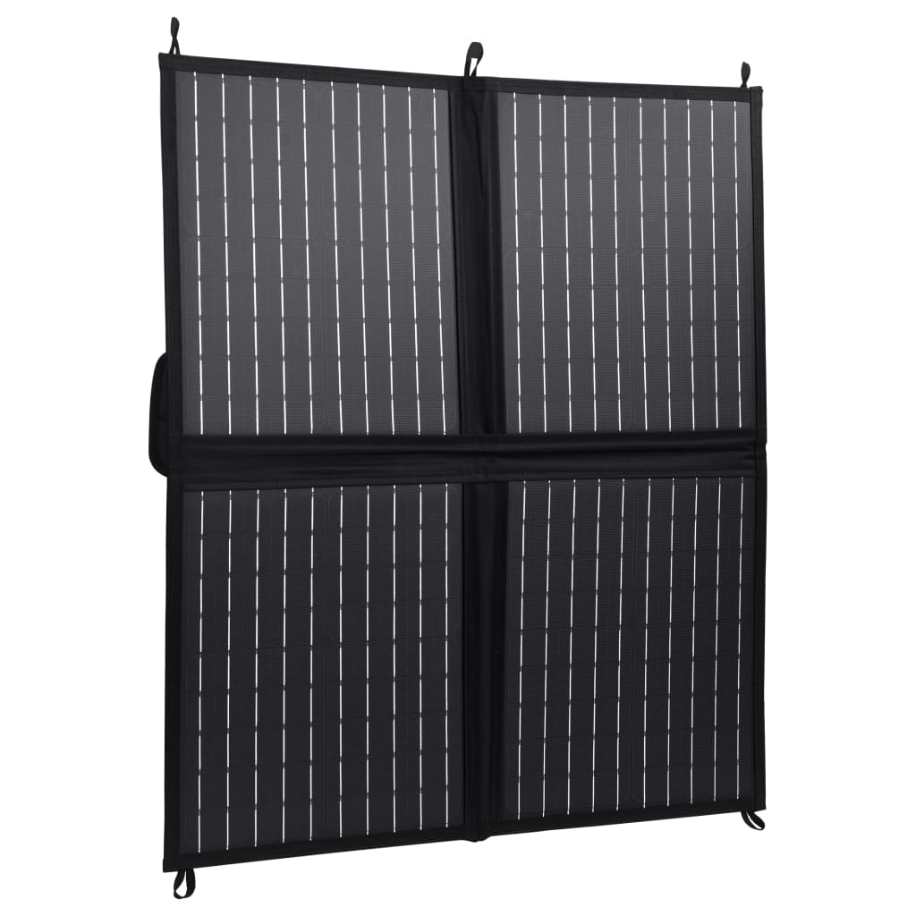 Chargeur de panneau solaire Vidaxl pliable 80 W 12 V