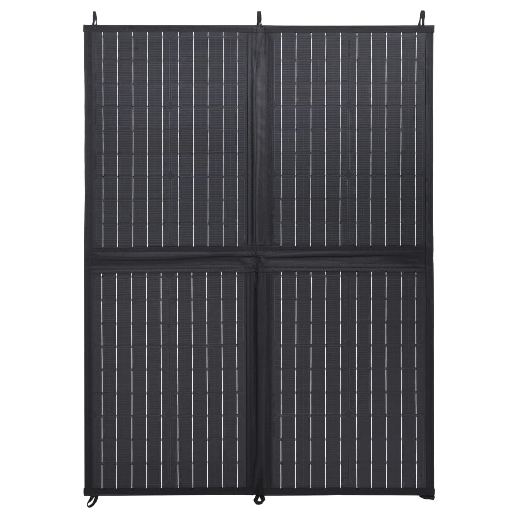 Vidaxl Sole Tranel-Charger fällt 100 w 12 v