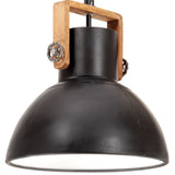 Vidaxl hanging lamp industrial around 25 W E27 40 cm Black