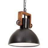 Vidaxl hänken Lamp Industrie ronderëm 25 W e27 30 cm schwaarz