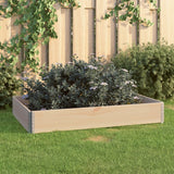 Vidaxl Planter raised 80x120 cm Solid pine