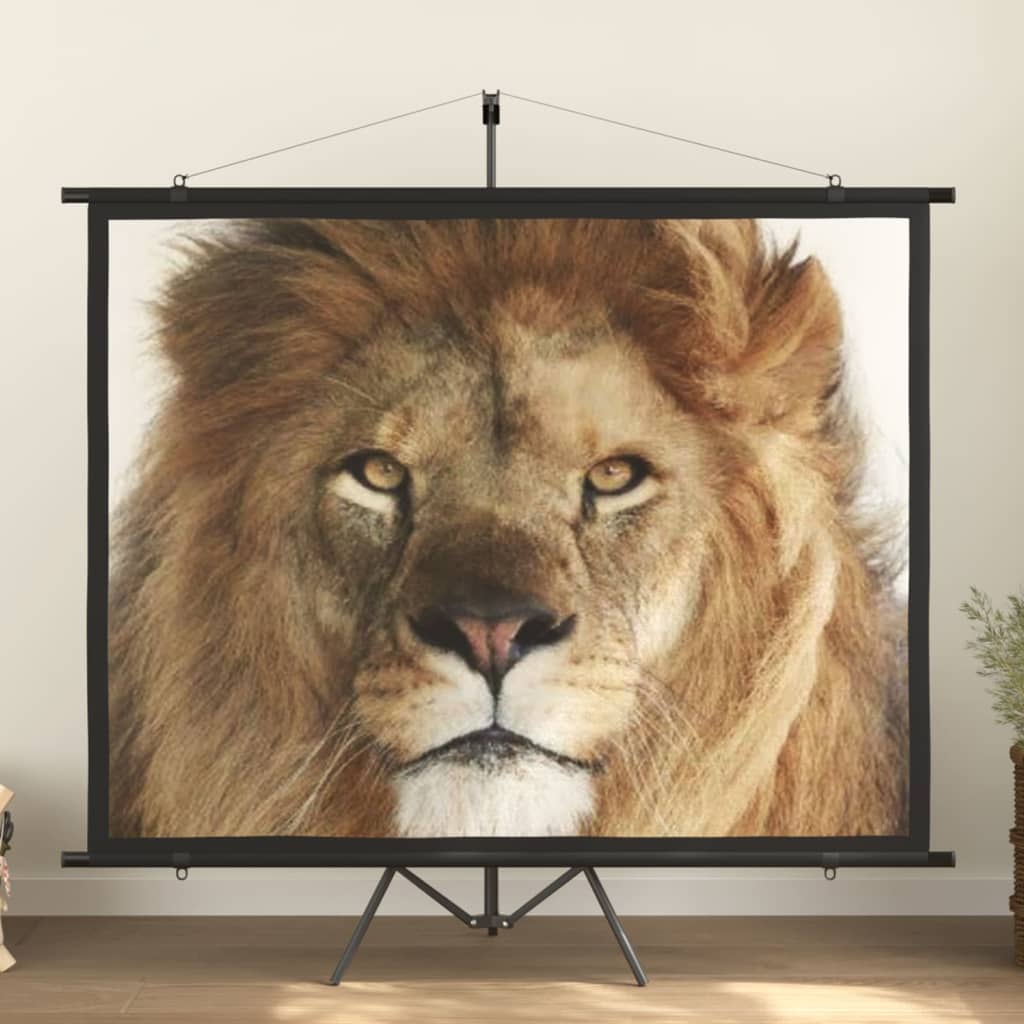 VidaXL Projection screen 4: 3 100 ''