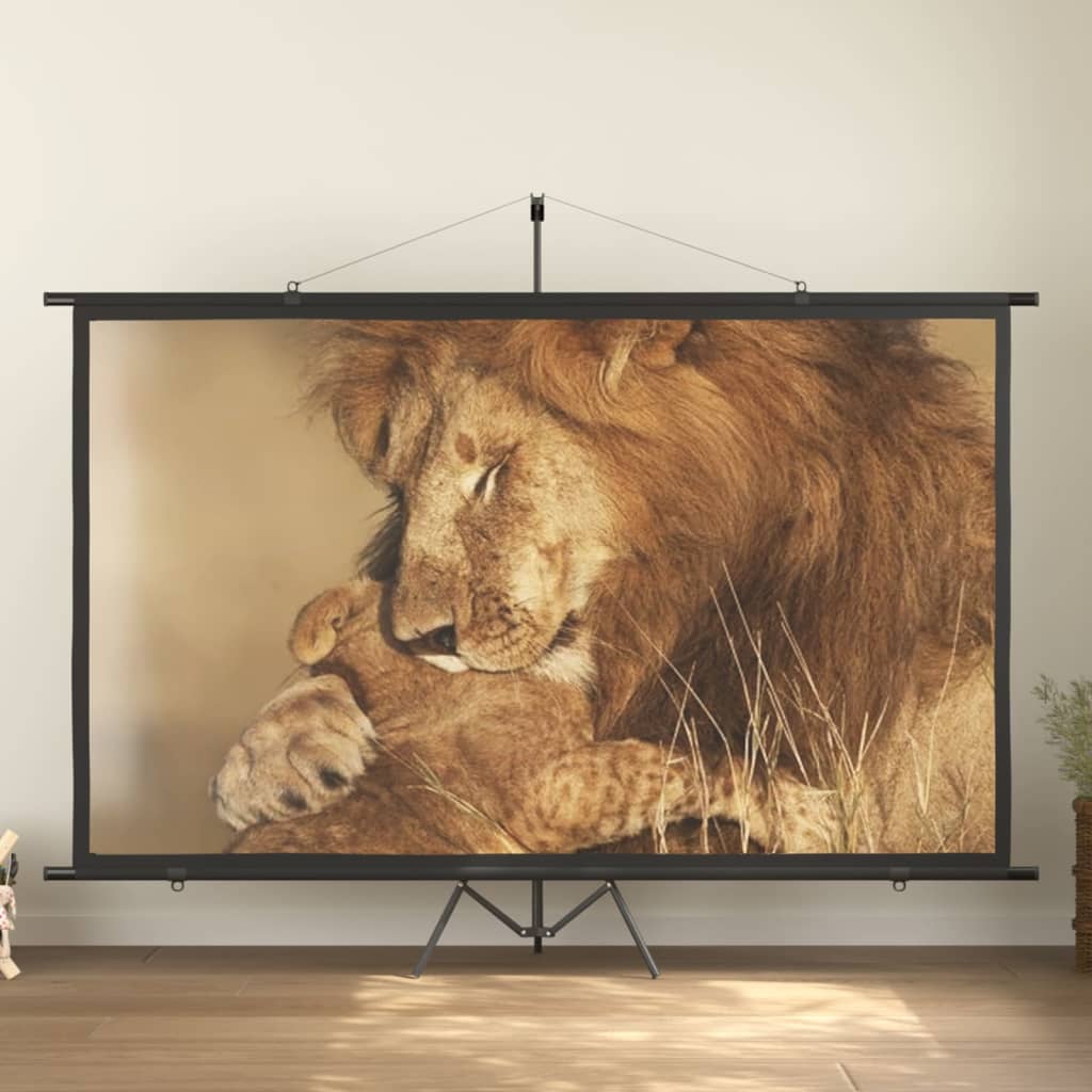 Vidaxl Projection Screen 16: 9 120 ''