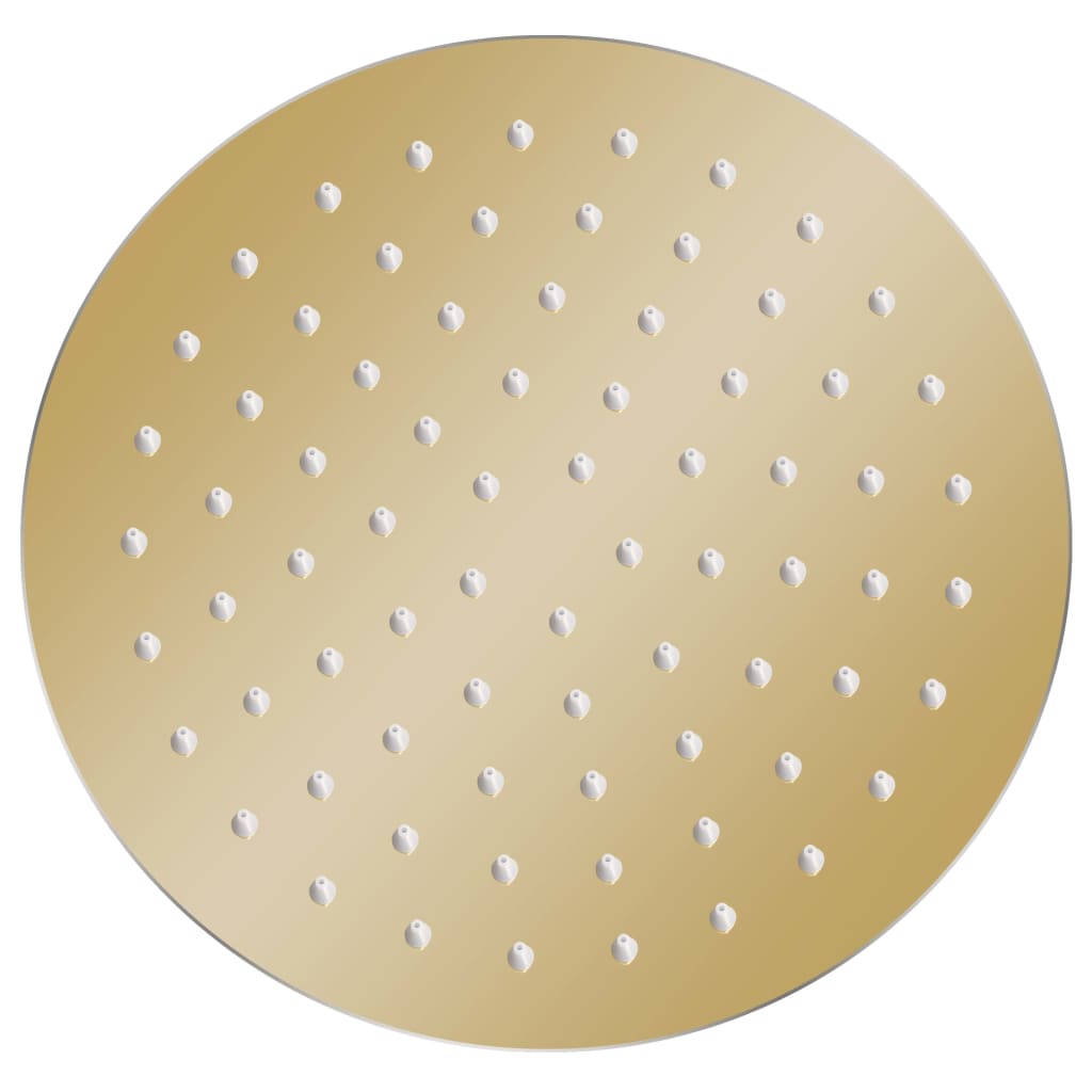 Vidaxl Rain Shower Head Round 20 cm rustfritt stål gullfarget