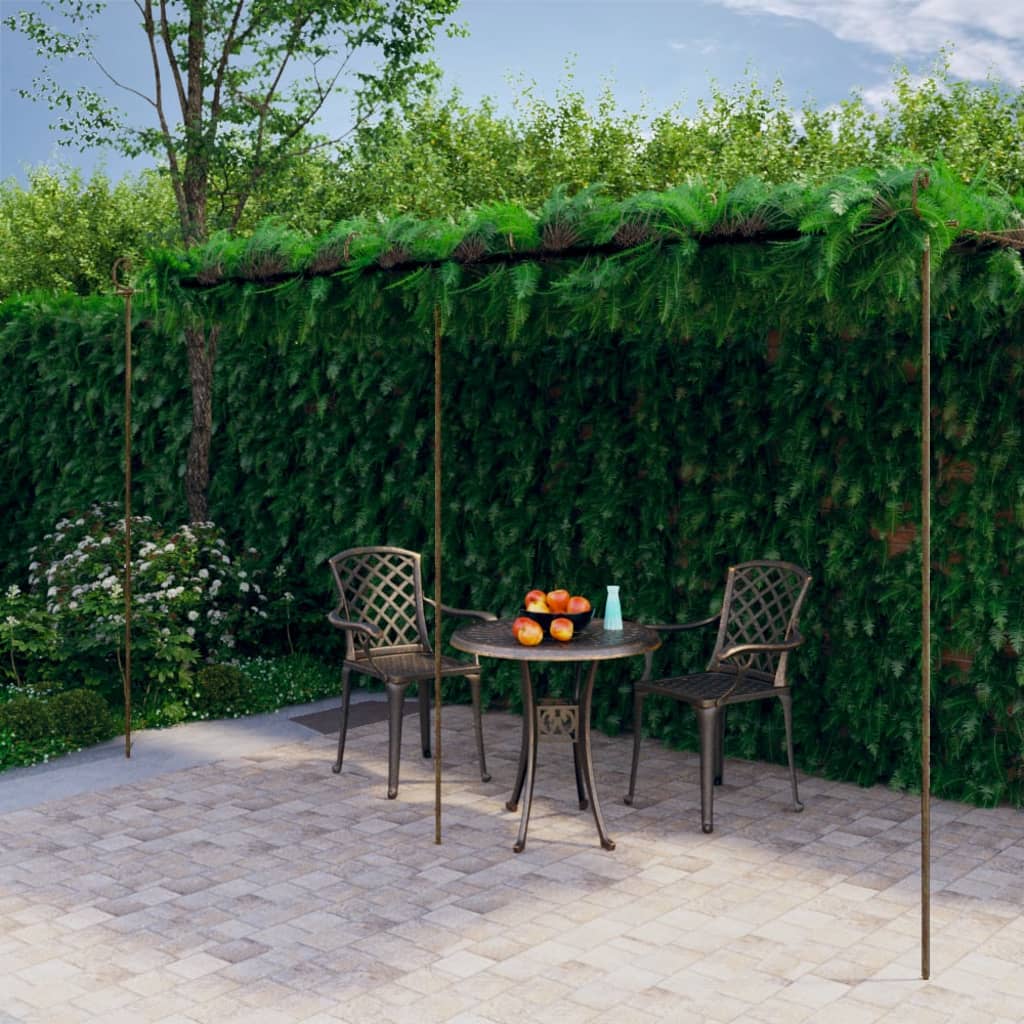 Vidaxl tuinpergola 6x3x2.5 m de hierro marrón antiguo