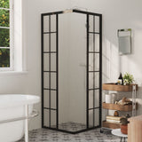 Vidaxl Shower Cubicle 70x70x180 cm ESG